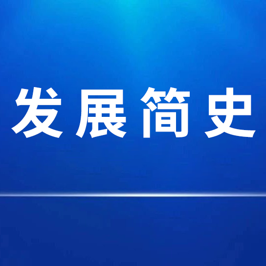 利来国际最老品牌网发展简史